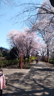 f:id:chuokurashinet:20200325155024p:plain