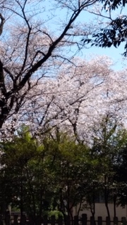 f:id:chuokurashinet:20200325155058p:plain