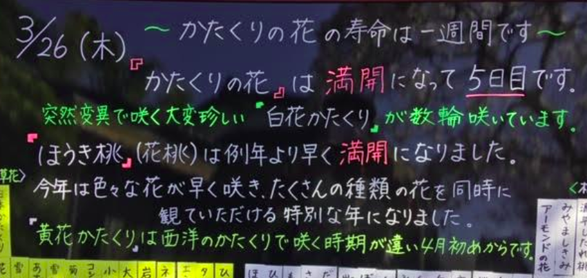 f:id:chuokurashinet:20200326180712p:plain