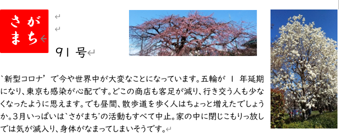 f:id:chuokurashinet:20200404160944p:plain