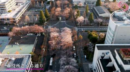 f:id:chuokurashinet:20200425110748p:plain f:id:chuokurashinet:20200425110748p:plain