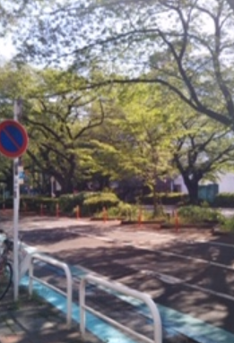 f:id:chuokurashinet:20200426110853p:plain