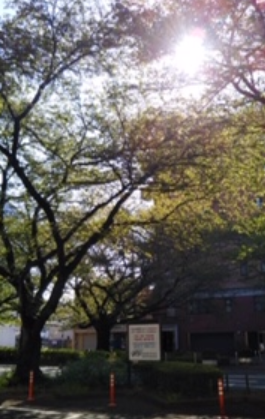 f:id:chuokurashinet:20200426110935p:plain