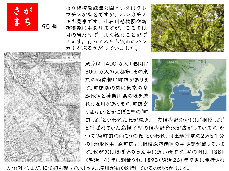 f:id:chuokurashinet:20200506141343p:plain