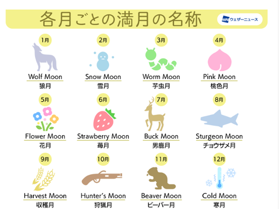 f:id:chuokurashinet:20200804105617p:plain f:id:chuokurashinet:20200804105617p:plain