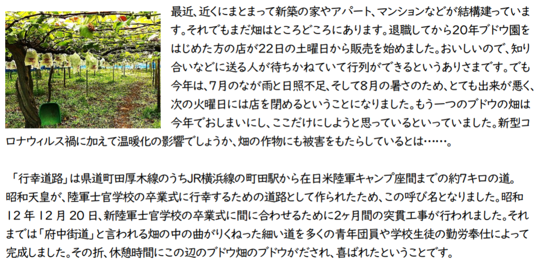 f:id:chuokurashinet:20200906091604p:plain