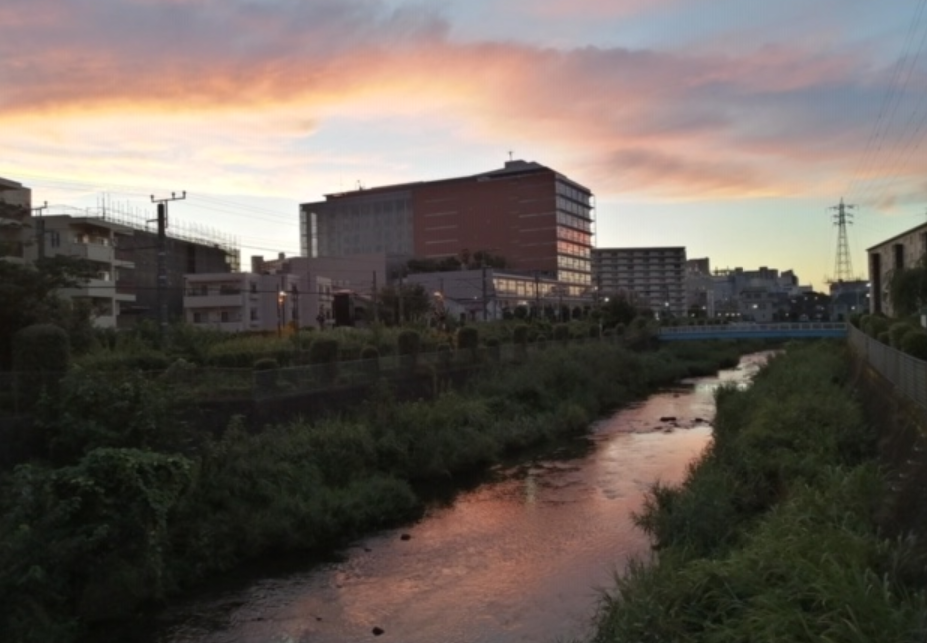f:id:chuokurashinet:20200921143722p:plain