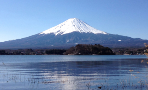 f:id:chuokurashinet:20200922111011p:plain