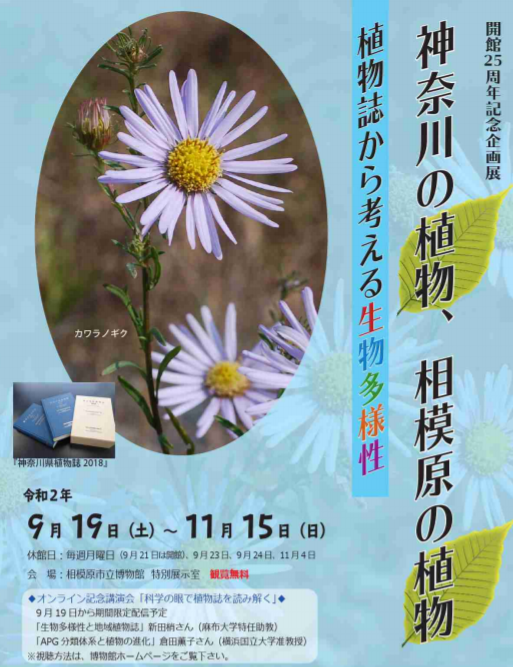 f:id:chuokurashinet:20200925125135p:plain