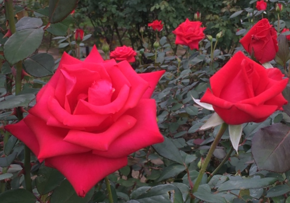 f:id:chuokurashinet:20201010103110p:plain