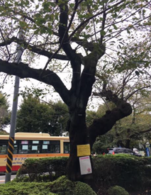 f:id:chuokurashinet:20201020180028p:plain