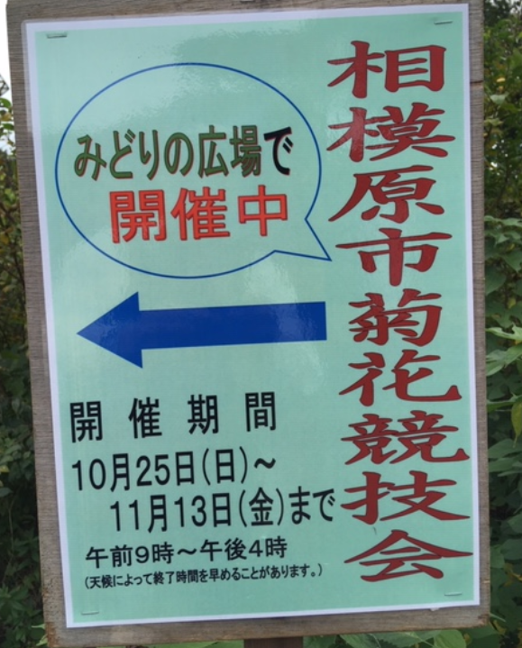 f:id:chuokurashinet:20201028164942p:plain f:id:chuokurashinet:20201028164942p:plain