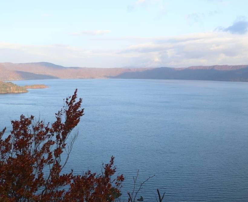 f:id:chuokurashinet:20201101112504p:plain