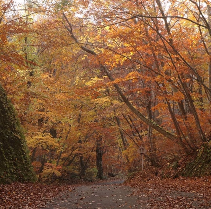 f:id:chuokurashinet:20201101112554p:plain