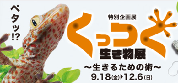 f:id:chuokurashinet:20201102092749p:plain