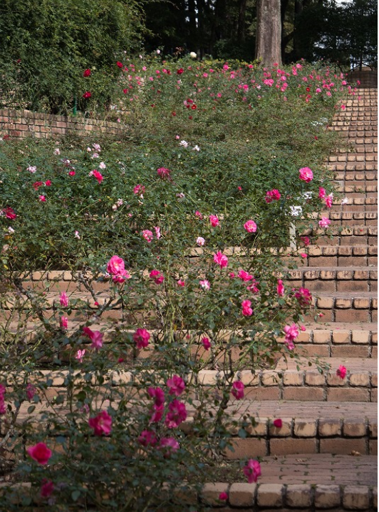 f:id:chuokurashinet:20201103090647p:plain