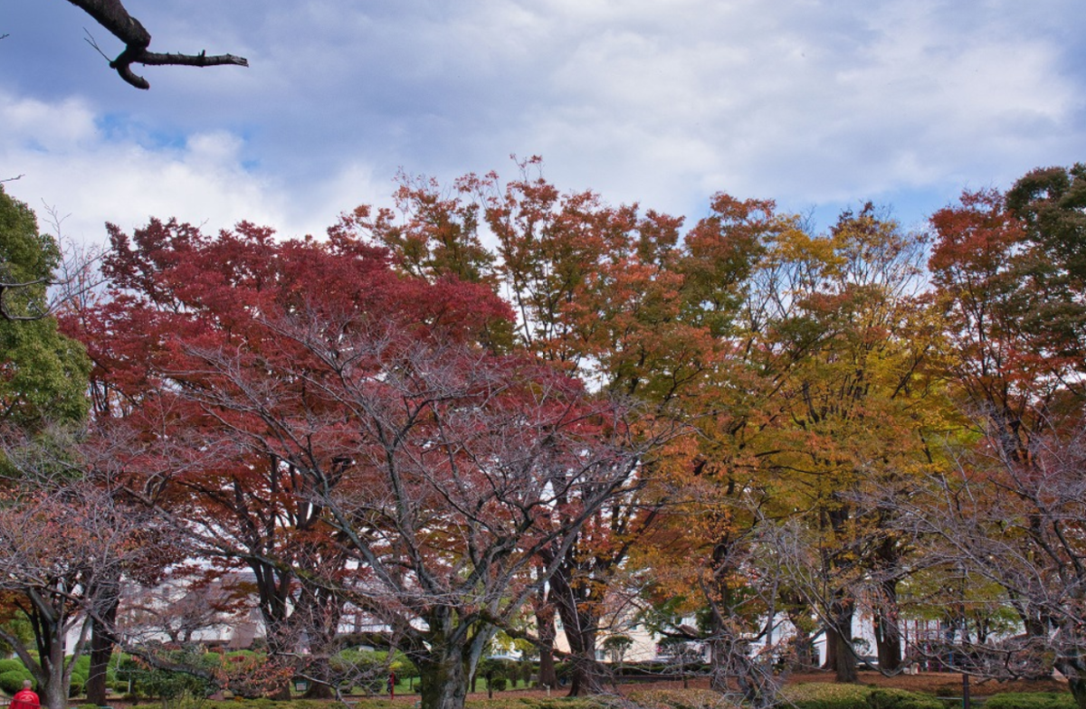 f:id:chuokurashinet:20201110090521p:plain