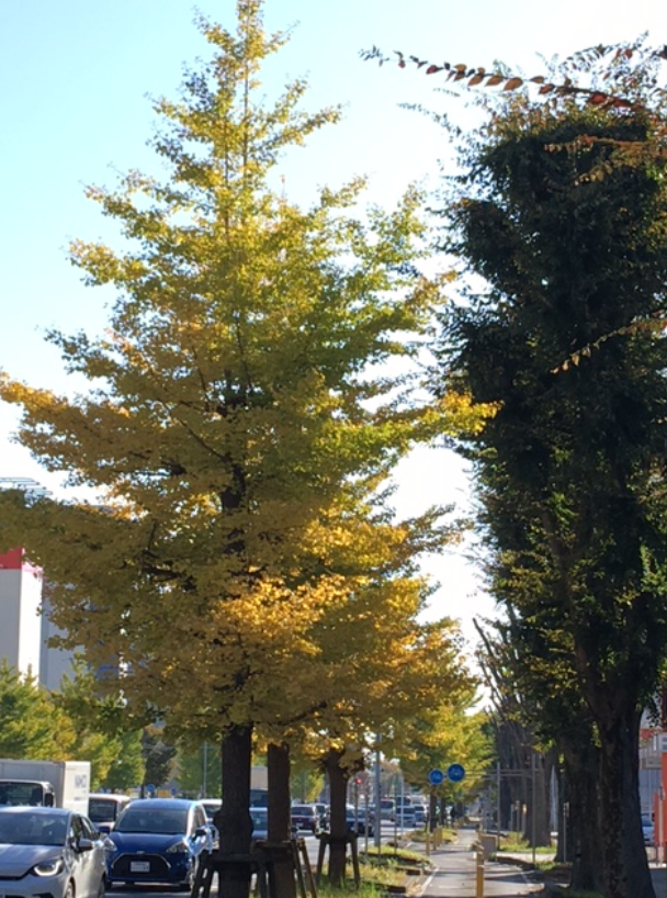 f:id:chuokurashinet:20201114112423p:plain