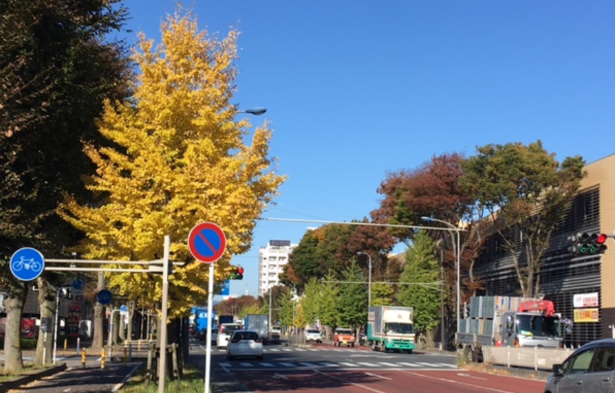 f:id:chuokurashinet:20201114112515p:plain