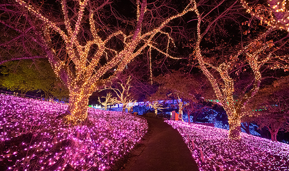 f:id:chuokurashinet:20201119100411p:plain