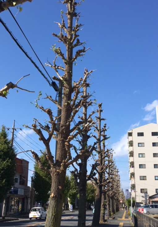 f:id:chuokurashinet:20201119143859p:plain