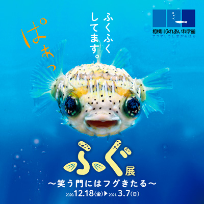 f:id:chuokurashinet:20201213144401p:plain