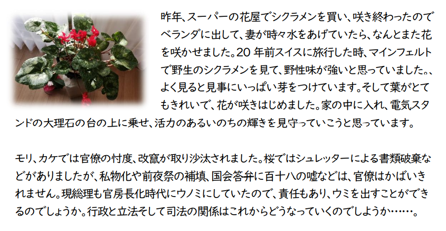 f:id:chuokurashinet:20210104122405p:plain