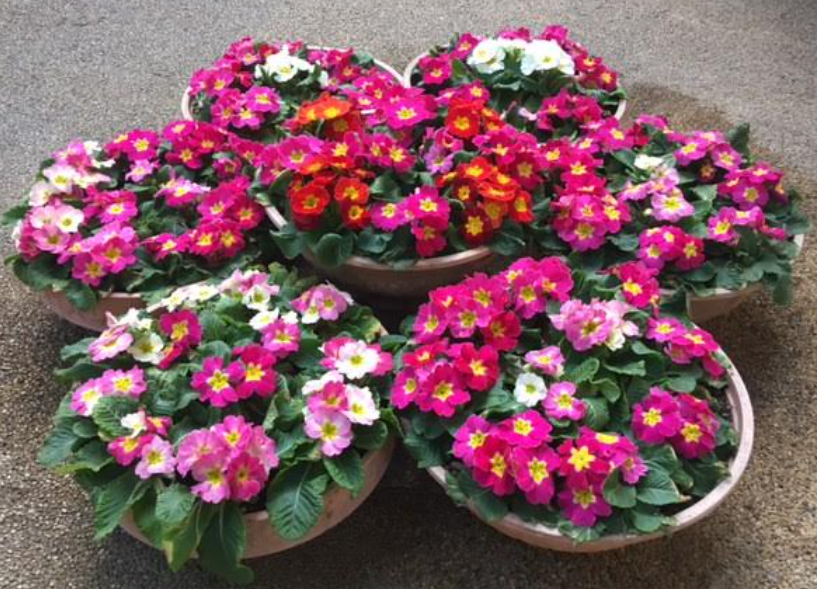 f:id:chuokurashinet:20210123100124p:plain