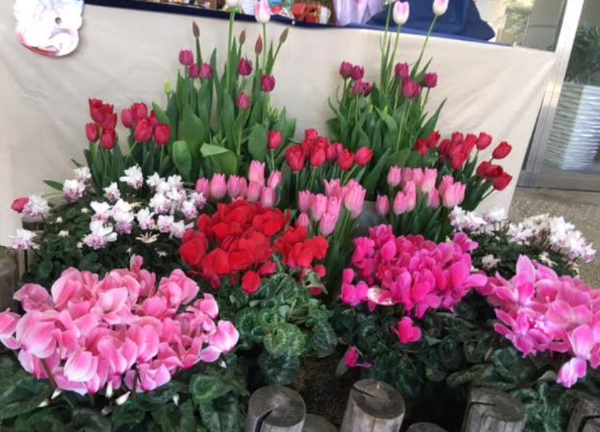 f:id:chuokurashinet:20210123100225p:plain