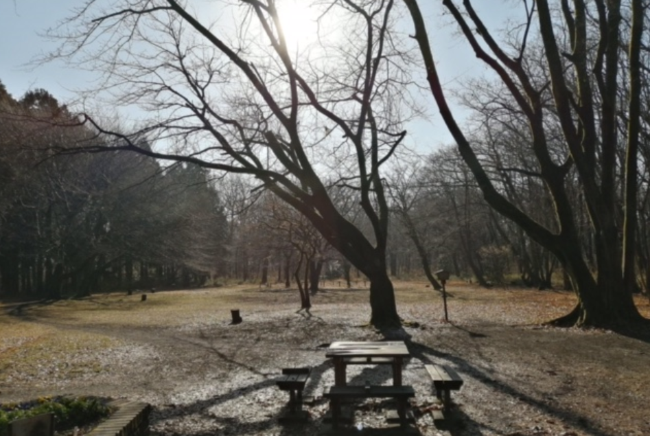 f:id:chuokurashinet:20210128092649p:plain