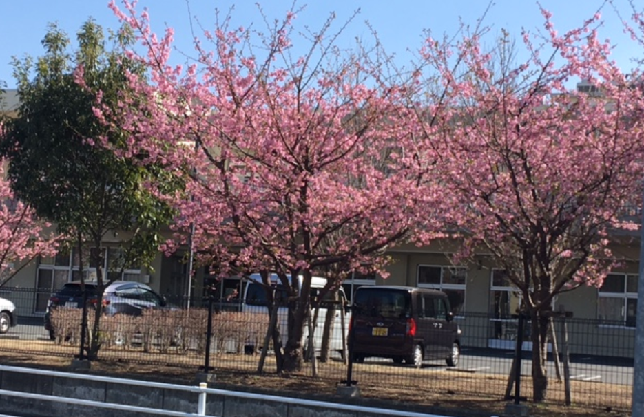 f:id:chuokurashinet:20210227173634p:plain