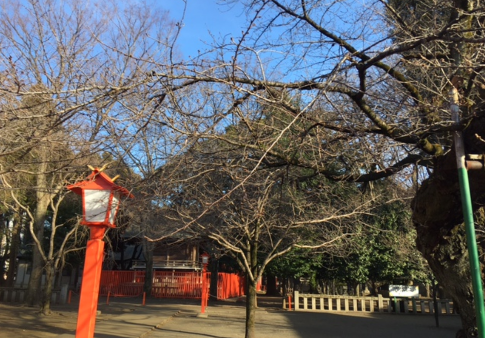 f:id:chuokurashinet:20210302054937p:plain