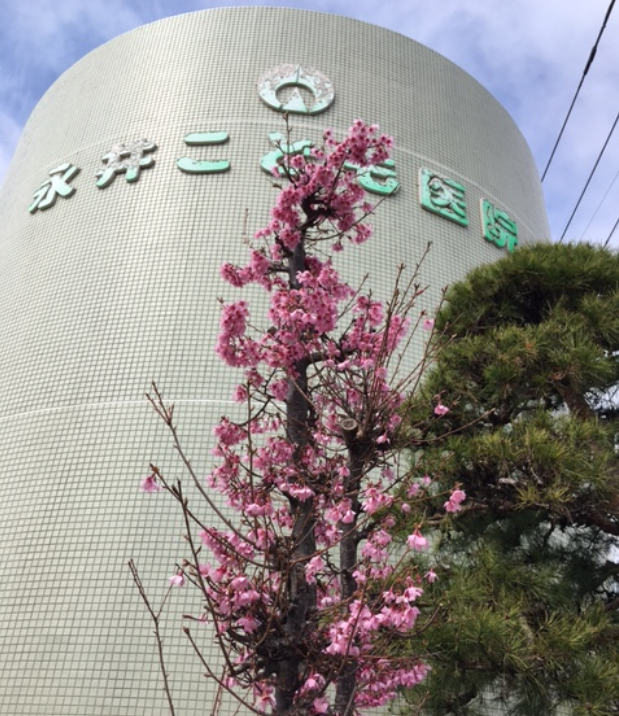 f:id:chuokurashinet:20210308075156p:plain