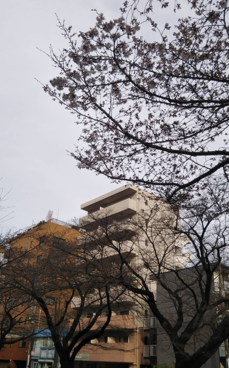 f:id:chuokurashinet:20210317185156p:plain