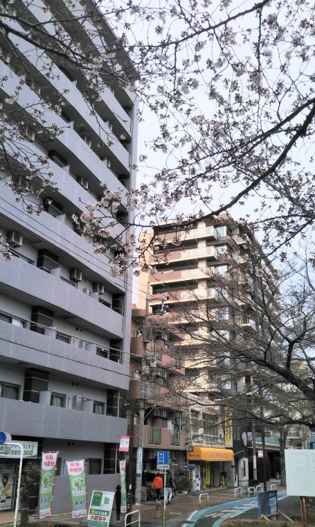 f:id:chuokurashinet:20210317185310p:plain