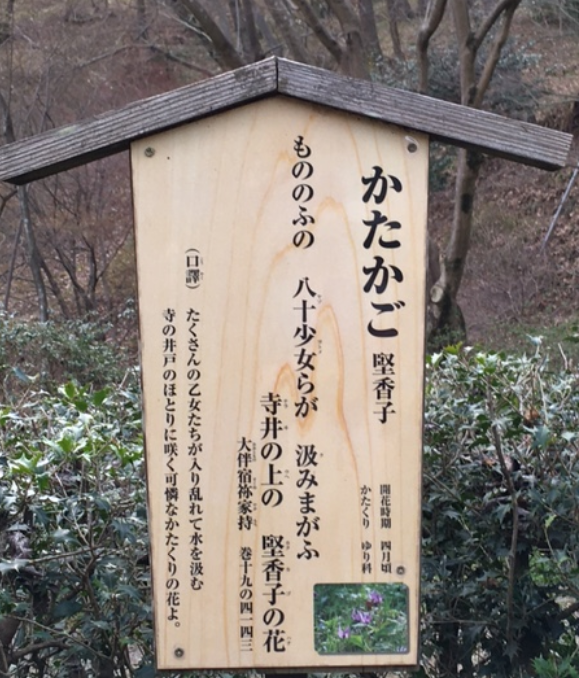f:id:chuokurashinet:20210318100253p:plain