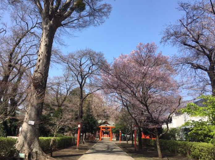 f:id:chuokurashinet:20210320145729p:plain