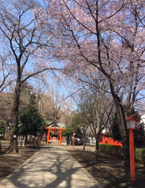 f:id:chuokurashinet:20210320150136p:plain