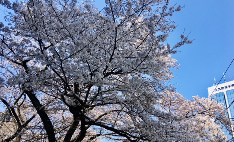 f:id:chuokurashinet:20210323135418p:plain