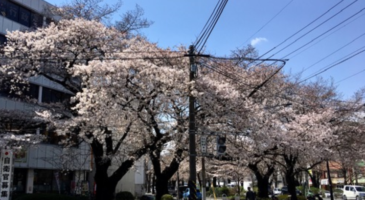 f:id:chuokurashinet:20210323135620p:plain