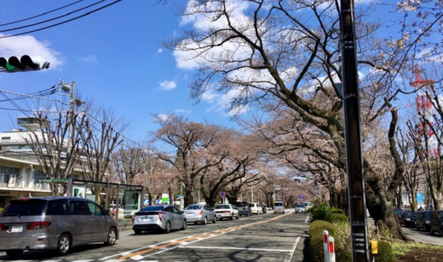 f:id:chuokurashinet:20210323135735p:plain