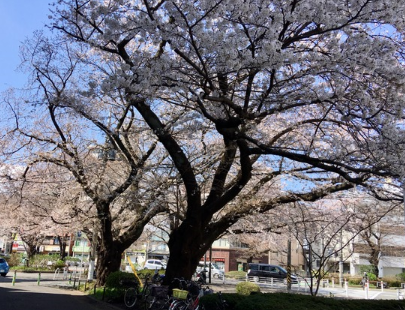f:id:chuokurashinet:20210323135812p:plain