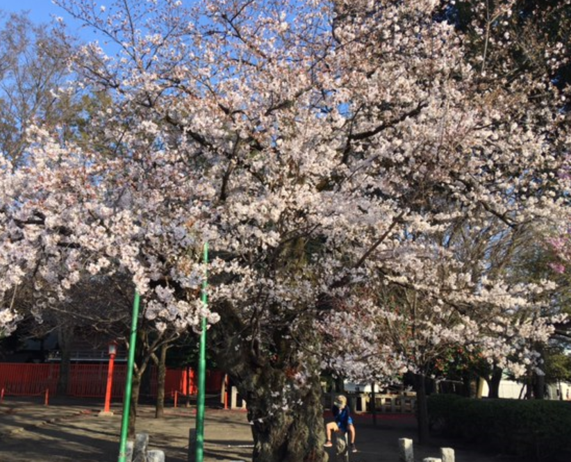 f:id:chuokurashinet:20210324063817p:plain