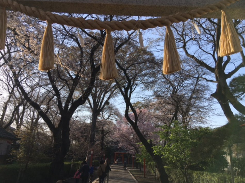 f:id:chuokurashinet:20210324102516p:plain