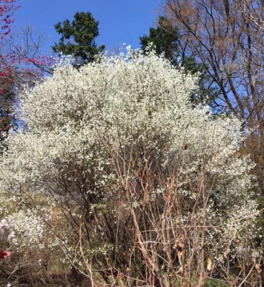 f:id:chuokurashinet:20210326065453p:plain