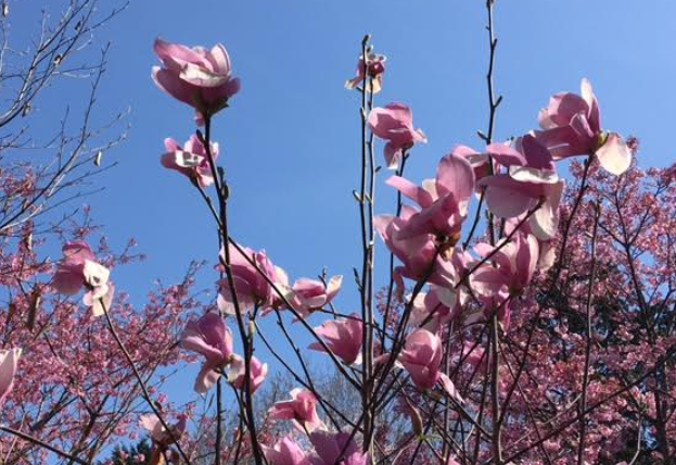 f:id:chuokurashinet:20210326070815p:plain