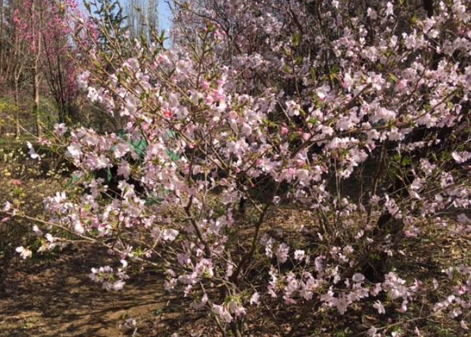 f:id:chuokurashinet:20210326071135p:plain