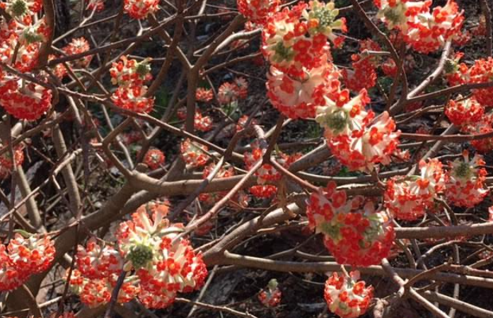 f:id:chuokurashinet:20210326071810p:plain