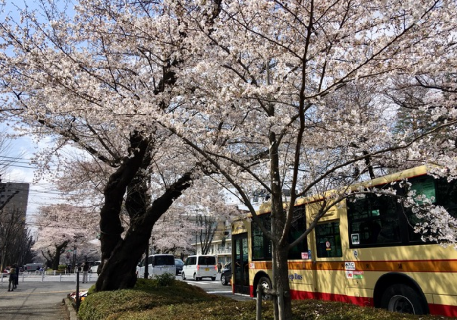 f:id:chuokurashinet:20210326154459p:plain