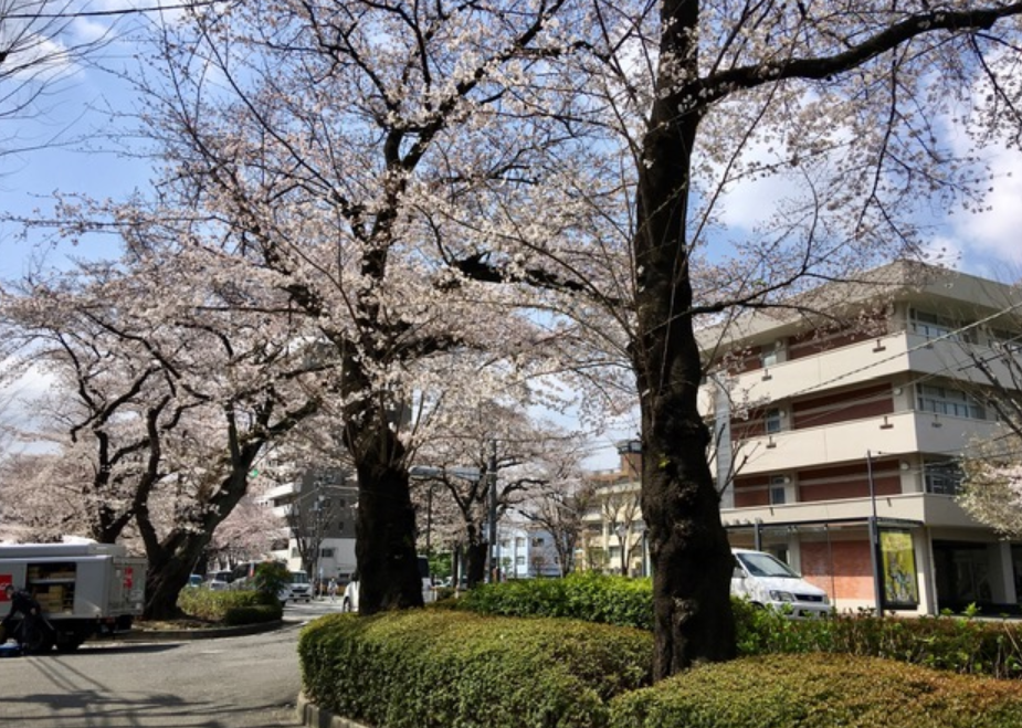 f:id:chuokurashinet:20210326154756p:plain